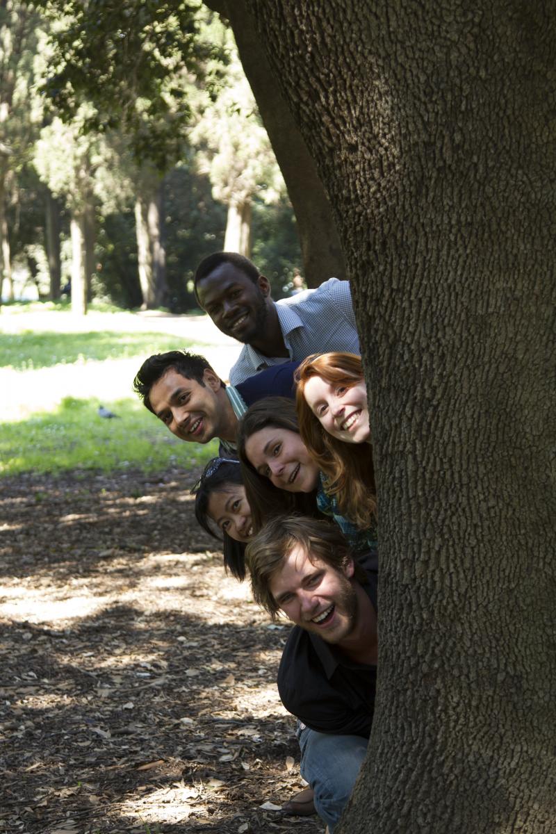 Are you a tree-hugger? Kiss a tree for the World Forestry Congress! 